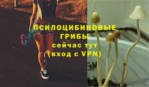 PSILOCYBIN Верея